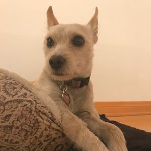 Meet your Posher, Bar